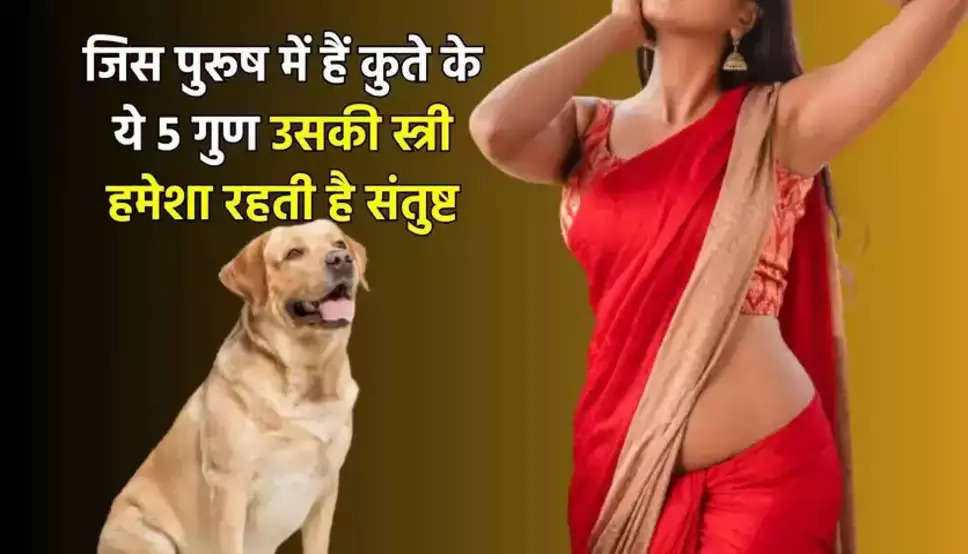 Chanakya Niti: पुरुष अपना लें कुत्ते के ये 5 गुण, पत्नी हमेशा रहेगी संतुष्ट