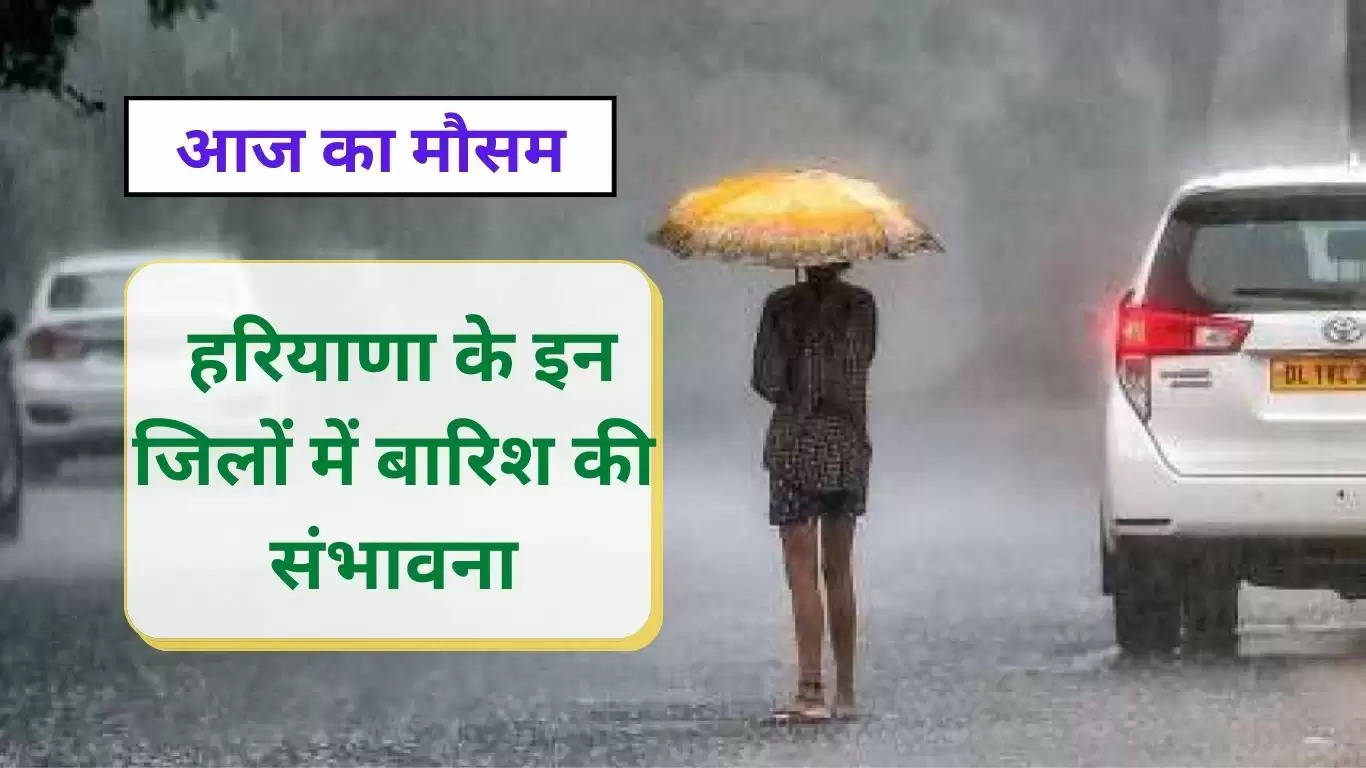 Haryana Weather Alert : हरियाणा के 8 जिलों में सर्दी को लेकर रेड अलर्ट, जानिए कब होगी बारिश ?