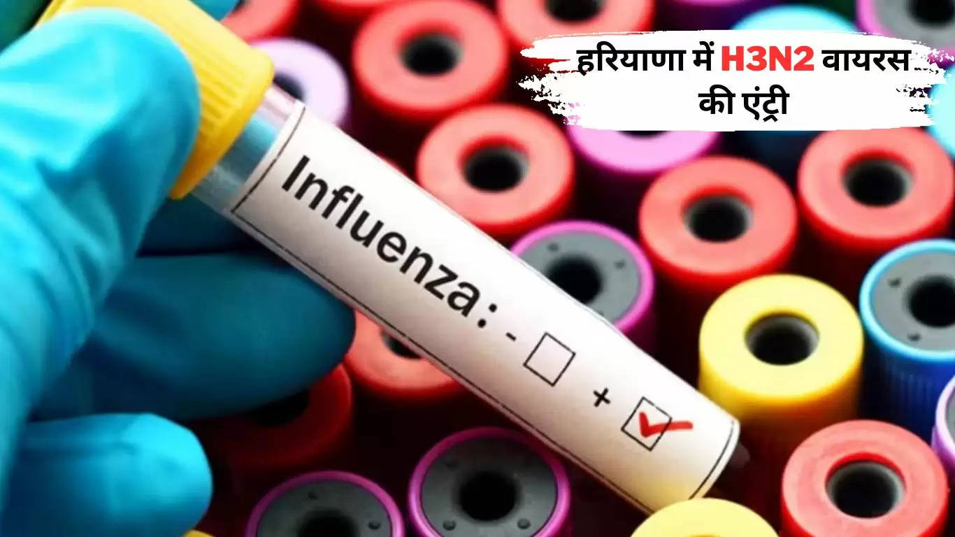 H3N2 Influenza in Haryana