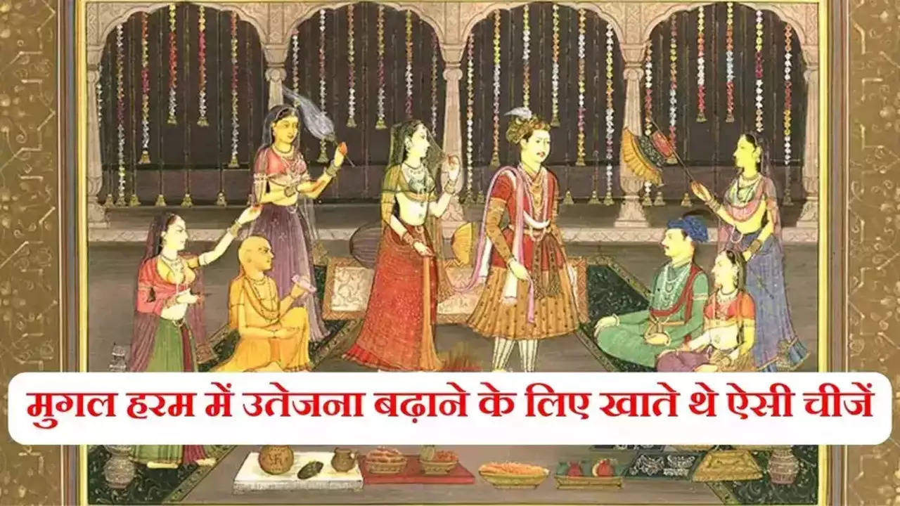Mughal Harem Histroy: मुगल हरम में उतेजना बढ़ाने के लिए खाते थे ऐसी चीजें, पूरे दिन रात रहता था टाइट माहौल