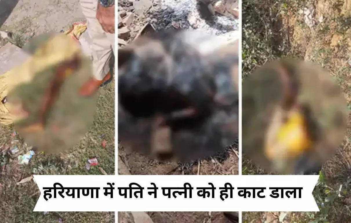 Haryana News : हरियाणा में पति ने पत्नी को ही काट डाला, शरीर के टुकड़े कर अलग अलग जगह फेंके, फिर किया ये काम