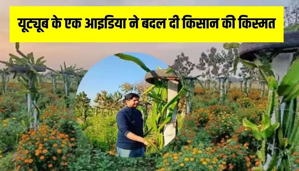 Success Story: यूट्यूब के एक आइडिया ने बदल दी किसान की किस्मत, इस विदेशी फल की खेती कर बन गया लखपति