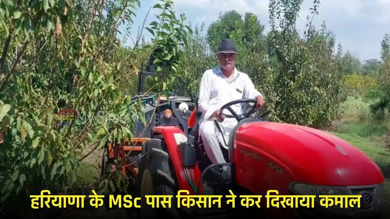 Haryana News: हरियाणा के MSc पास किसान ने कर दिखाया कमाल, खेती से कमाता है लाखों रुपये
