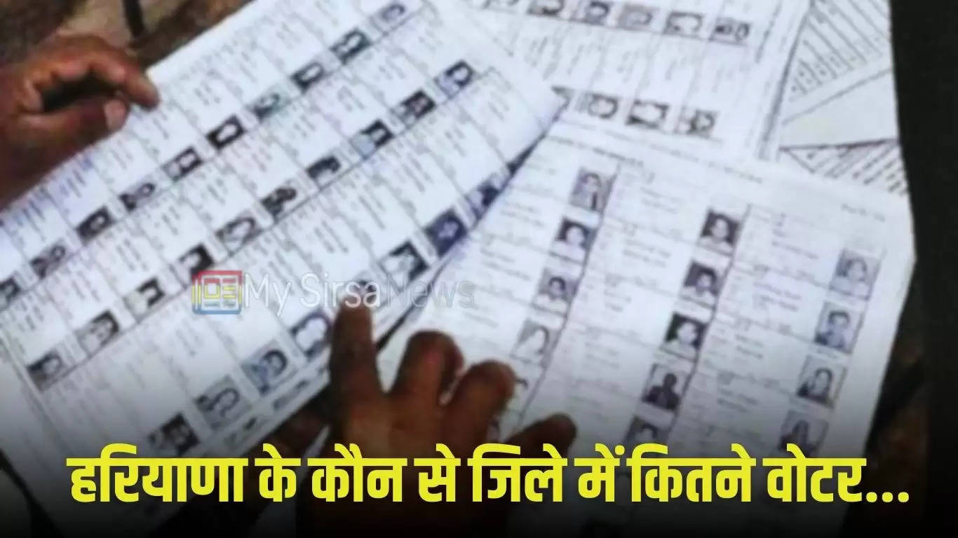 Haryana Voter List: हरियाणा के कौन से जिले में कितने वोटर, देखिये पूरी लिस्ट