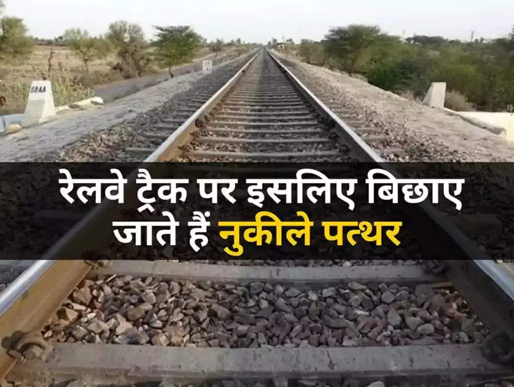 Indian Railways: हम सभी ने कभी-न-कभी ट्रेन से जरूर सफर किया होगा. लेकिन क्या आपने कभी सोचा है कि रेलवे ट्रैक पर पटरियों के नीचे नुकीले पत्थर क्यों होते हैं? कश्मीर से लेकर कन्याकुमारी तक आपको ऐसे रेलवे ट्रैक हर जगह दिखाई देते हैं. आइए जानते हैं कि आखिर क्यों रेलवे ट्रैक के नीचे इन नुकीले पत्थरों को लगाया जाता है और इसका क्या फायदा होता है.  Also Read - मेरी कहानी- पति के ऑफिस जाने के बाद पड़ोस के जवान लड़के के साथ संबंध बनाए, उसने मुझे संतुष्ट किया लेकिन अब... कैसे बनते हैं रेलवे ट्रैक  अगर आप किसी रेलवे ट्रैक को ध्यान से देखें तो उसे एक सेट तरीके से बनाया जाता है. रेल की पटरियों के ठीक नीचे कंक्रीट के लंबे प्लेट्स होते हैं. इन्हें स्लीपर कहा जाता है. इन स्लीपर्स के नीचे नुकीले पत्थर बिछाए जाते हैं. इन पत्थरों को ब्लास्ट कहा जाता है. इसके नीचे दो अलग-अलग तरह की मिट्टी को सेट करके लगाया जाता है. यह सब कुछ सामान्य जमीन से कुछ ऊपर और होता है. जब रेलवे ट्रैक पर से ट्रेन गुजरती है, तो स्लीपर और पत्थरों का यह कॉम्बिनेशन ही ट्रेन के भार को संभालता है.   Also Read - Bhabhi Devar Love Story: पति बड़ी उम्र का तो नहीं कर पाता संतुष्ट, अब देवर ने किया शारीरिक सुख, मेरी कहानी  क्यों लगाए जाते हैं पत्थर  ट्रेन की पटरियों के नीचे इन पत्थरों को लगाना बहुत जरूरी होता है. एक ट्रेन अपने आप में लाखों किलों की होती है. ऐसे में जब यर पटरियों पर से गुजरती है, तो उसमें काफी कंपन होता है और शोर भी काफी होता है. ये नुकीले पत्थर इन कंपन को सोख लेते हैं और ट्रेन की पटरियों को फैलने से रोकते हैं. नुकीले पत्थरों की जगह अगर गोल पत्थर होंगे, तो इनके फिसलने की संभावना काफी अधिक होगी.   बारिश में भी फायदेमंद होते हैं नुकीले पत्थर  रेलवे ट्रैक पर लगे ये नुकीले पत्थर ट्रैक को फैलने से बचाने के साथ ही बारिश के मौसम में भी ट्रैक को डूबने से बचाता है. अगर ट्रैक पर नुकीले पत्थर न हो, तो ट्रैक पर पेड़-पौधे उग जाएंगे. जिससे ट्रेनों को चलाने में दिक्कत आएगी. वहीं इन नुकीले पत्थरों के चलते बारिश का पानी सीधे जमीन के नीचे चला जाता है.