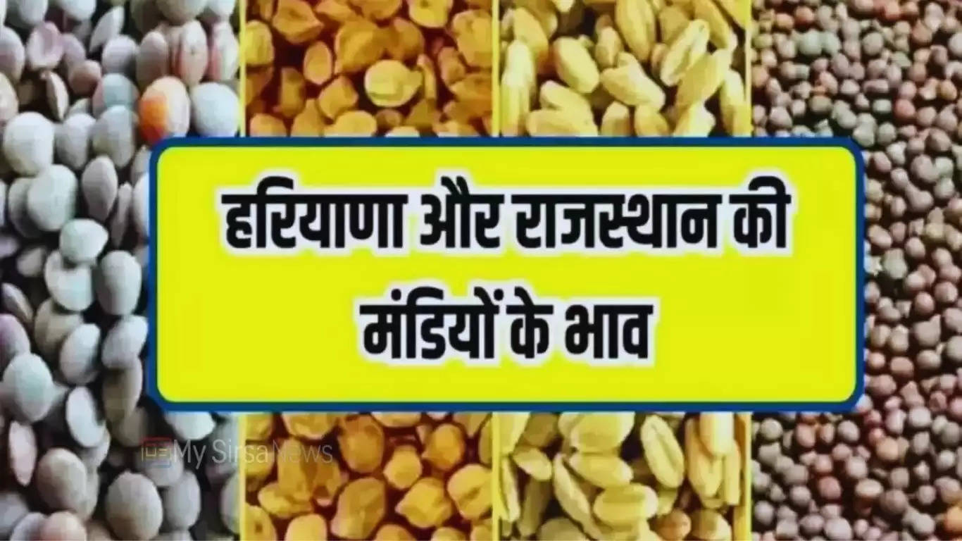 Aaj Ka Mandi Bhav : हरियाणा राजस्थान समेत विभिन राज्यों की मंडियों के भाव हुए जारी, देखें सभी फसलों के दाम