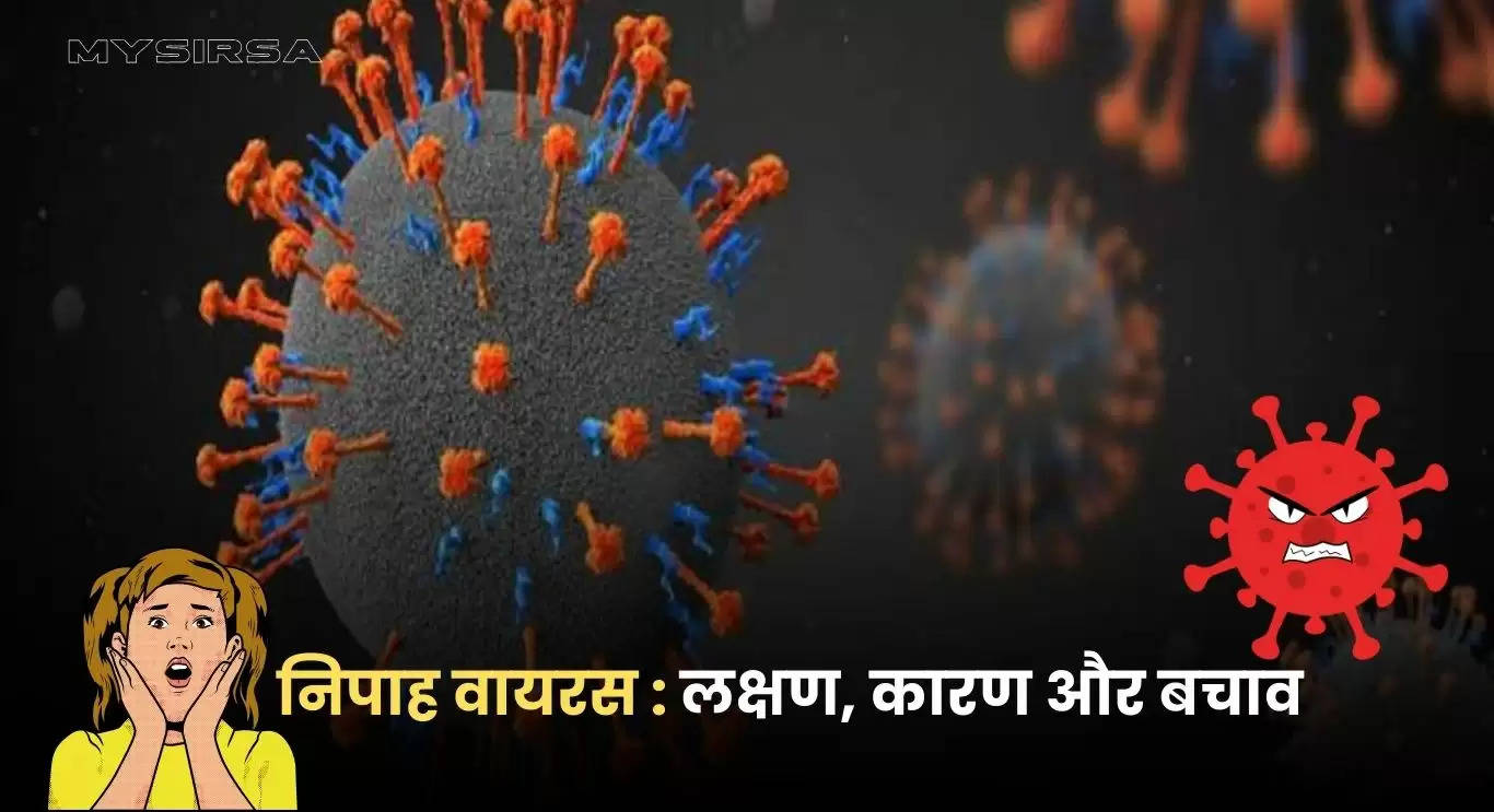 Nipah: ऐसा वायरस जिसकी न कोई दवा है और न ही कोई वैक्सीन, इससे बचने के लिए तुरंत करे ये काम 