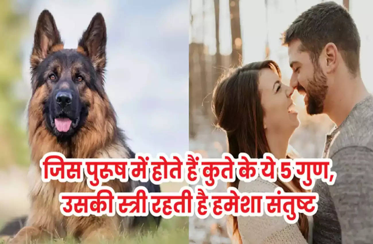 Chanakya Niti,Chanakya Niti qualities of dog,Chanakya Niti man have dog qualities