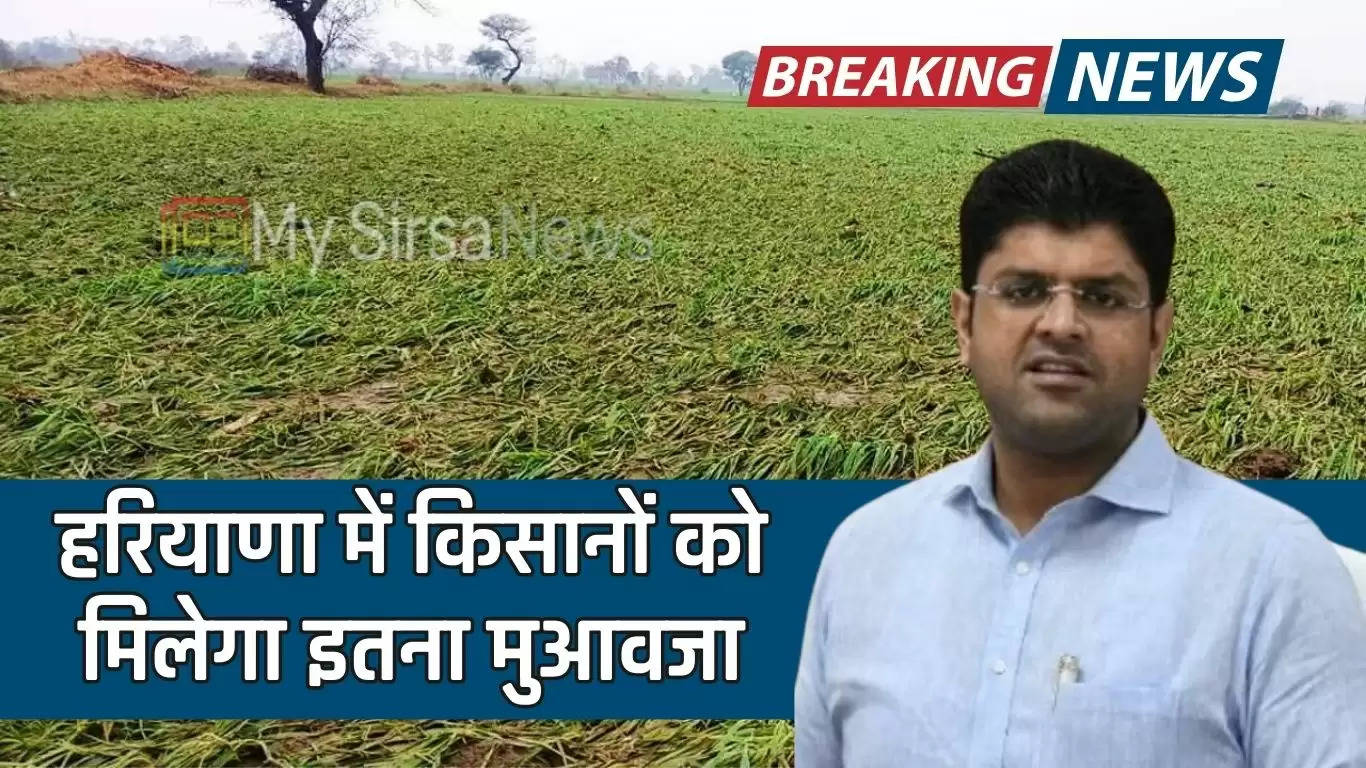 Haryana News: हरियाणा में किसानों को मिलेगा इतना मुआवजा, डिप्टी सीएम दुष्यंत ने दी जानकारी 