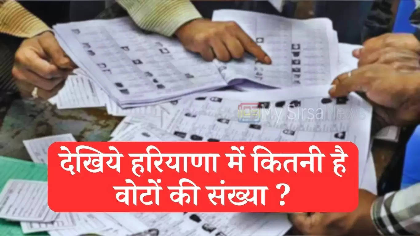 Haryana Voter List: हरियाणा में युवा मतदाताओं की संख्या में जबरदस्त इजाफा, देखिये कितनी है वोटों की संख्या ?