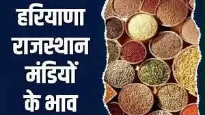  Aaj Ka Mandi Bhav : हरियाणा राजस्थान समेत विभिन राज्यों की मंडियों के ताजा भाव हुए जारी, देखें सभी फसलों के दाम