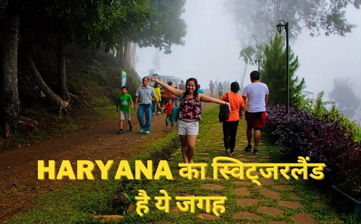 Haryana का स्विट्जरलैंड है ये जगह, मई के महीने में सबसे ज्यादा लोग जाते हैं यहां, आप भी बनाएं घूमने का प्लान