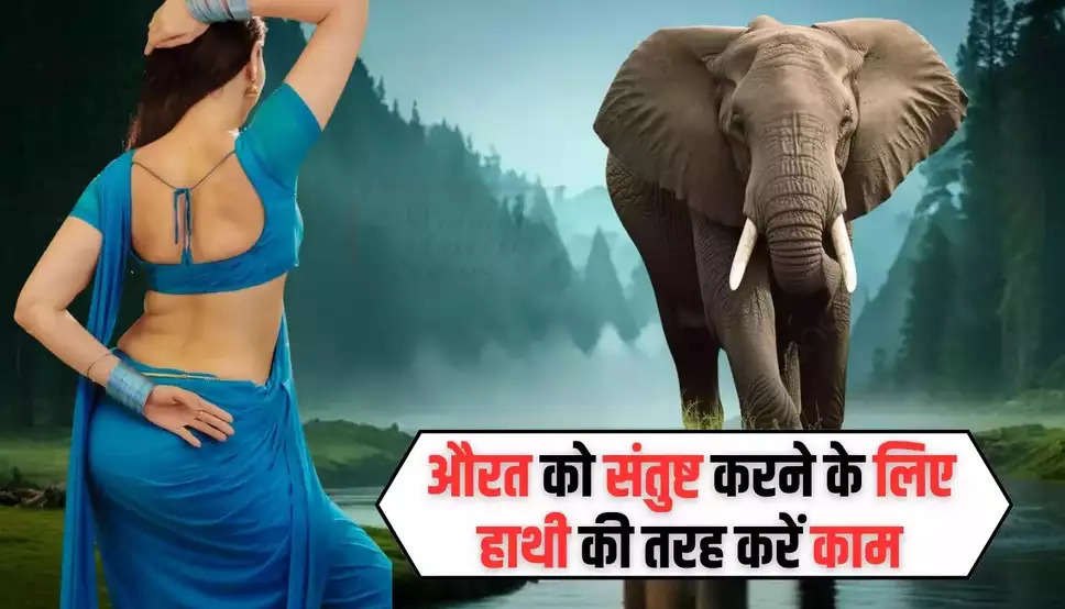Chanakya Niti: महिला को संतुष्ट करना है अपनाएं हाथी के ये 5 गुण, एक झटके में हो जाएगी खुश