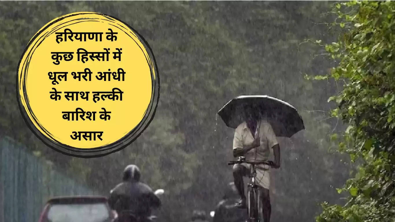 haryana Weather Update 