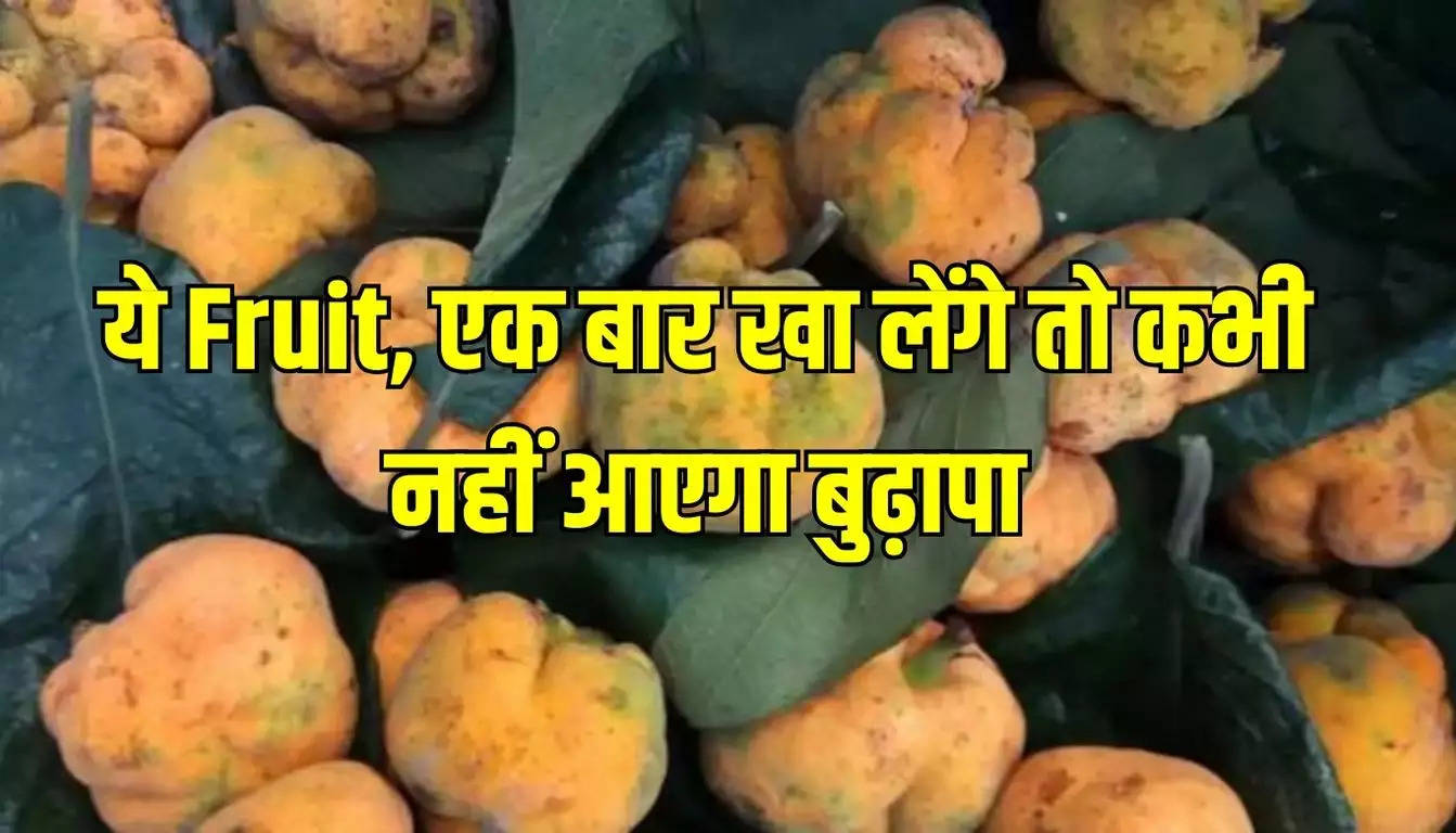 Badhal Fruit: बहुत गुणकारी है 5 रुपये में मिलने वाला ये Fruit, एक बार खा लेंगे तो कभी नहीं आएगा बुढ़ापा
