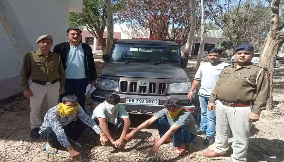 Haryana News: सिरसा के चौपटा में बोलेरो गाड़ी चोरी करने वाले काबू, 8 युवको को हुड़दंगबाजी करते पकड़ा, देखें दोनों मामले
