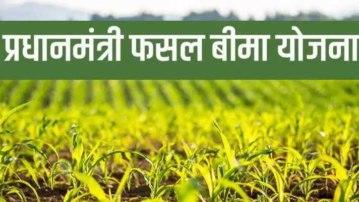 Pradhan Mantri Fasal Bima Yojana: किसानों के लिए खुशखबरी! प्रधानमंत्री फसल बीमा योजना में हो सकता है बदलाव, जानें स्कीम के फायदे
