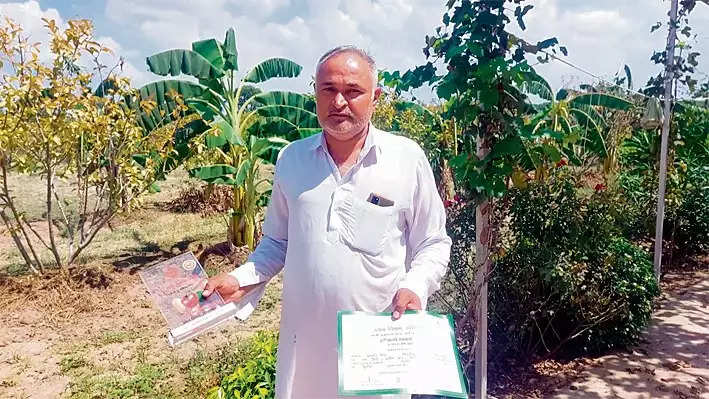 Haryana News: हरियाणा के इस किसान ने कर दिखाया कमाल, MSc पास किसान खेती से कमाता है लाखों रुपये