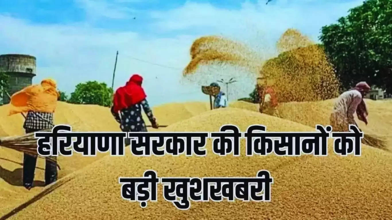 Haryana News: हरियाणा के किसानों के लिए बड़ी, खुशखबरी इस दिन शुरू होगी गेहूं की खरीद