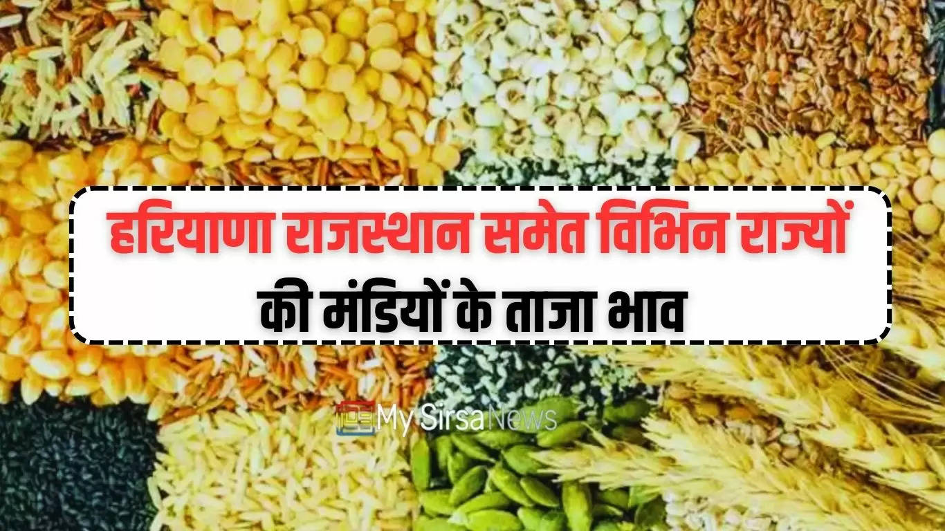 Aaj Ka Mandi Bhav : हरियाणा राजस्थान समेत विभिन राज्यों की मंडियों के भाव हुए जारी, देखें सभी फसलों के ताजा दाम