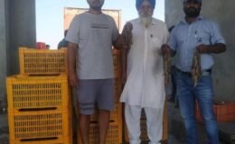 Farmer finds a ‘golden’ alternative in saline water; shrimp farming yields a business worth ₹65 lakh.