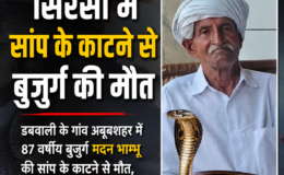 Sirsa News: डबवाली के अबूबशहर में बुजुर्ग किसान की सांप के काटने से मौत, इलाज के दौरान तोड़ा दम