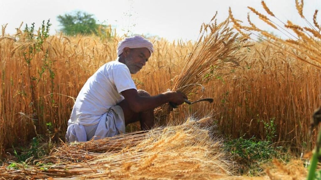एग्रीस्टैक किसान आईडी जल्द बनवाएं किसान, कृषि योजनाओं व खाद प्राप्त करने में मिलेगी सुविधा