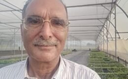 A farmer from Sirsa has achieved a remarkable feat; a transformation initiative sparked by concerns over the groundwater crisis has now led Mukesh to produce 8 to 10 lakh saplings annually.